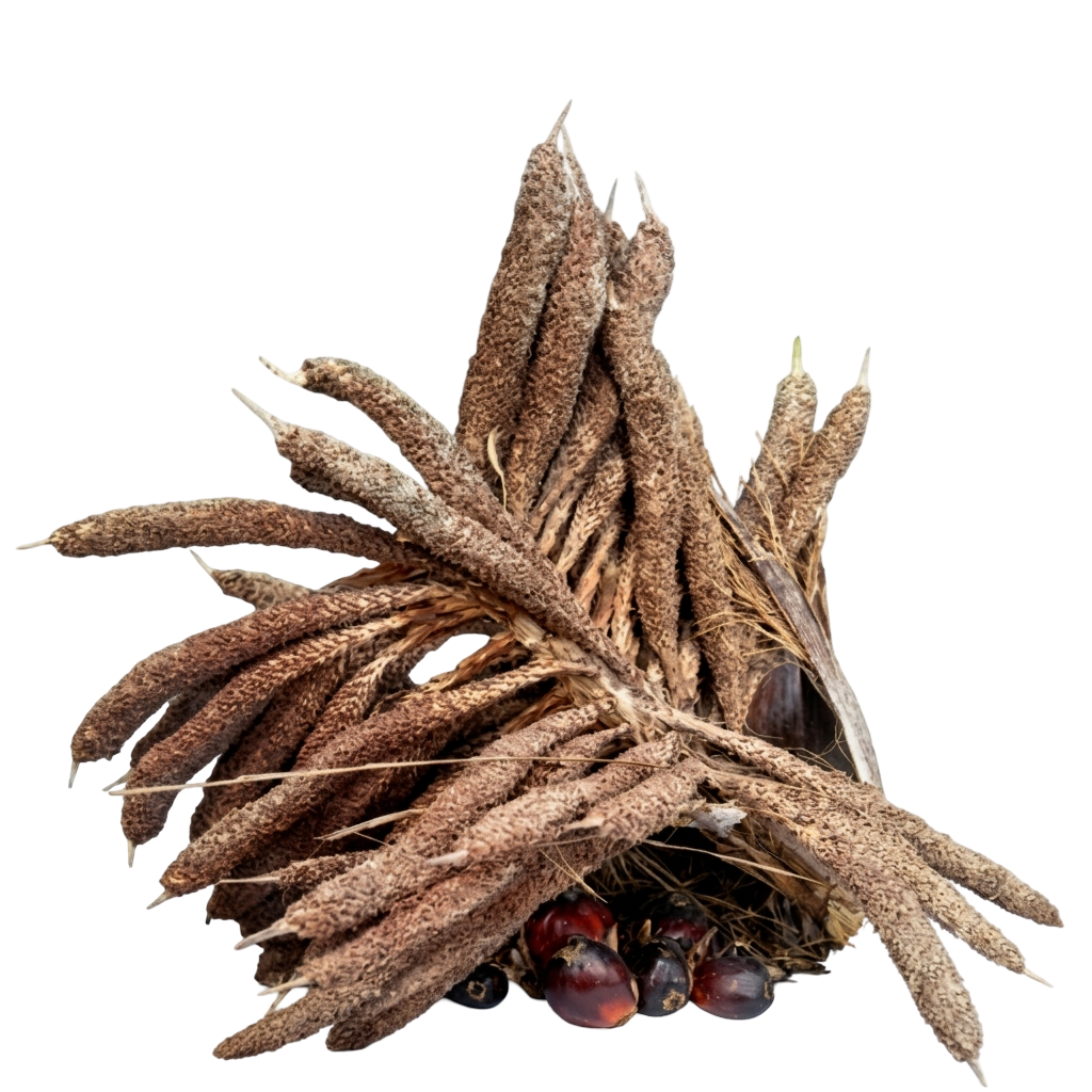 bungajantansawit